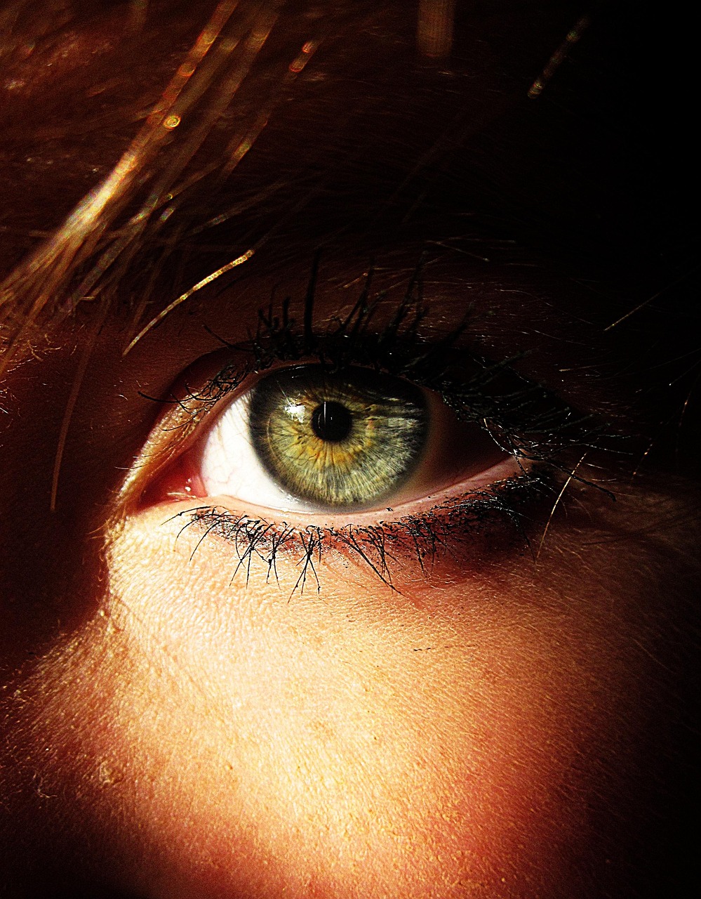 eye, colour, green, face, bright, make-up, woman, eye, eye, eye, eye, eye, woman, woman
